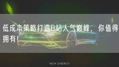 低成本策略打造B站人气巅峰，你值得拥有！