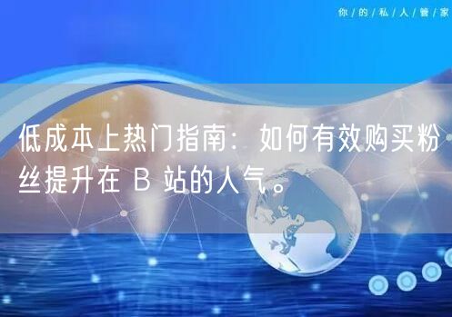 低成本上热门指南：如何有效购买粉丝提升在 B 站的人气。