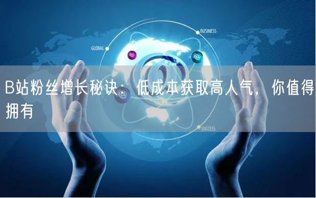 B站粉丝增长秘诀：低成本获取高人气，你值得拥有