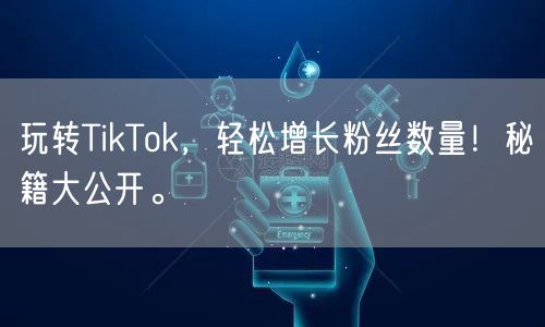 玩转TikTok，轻松增长粉丝数量！秘籍大公开。