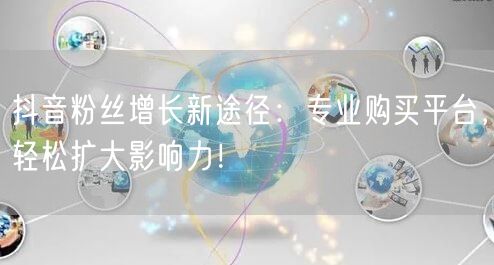 抖音粉丝增长新途径：专业购买平台，轻松扩大影响力！