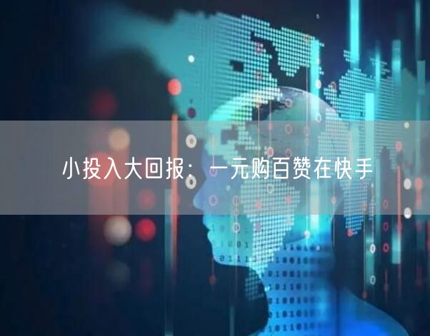 小投入大回报：一元购百赞在快手