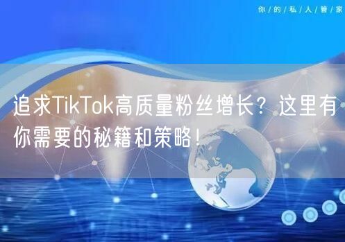 追求TikTok高质量粉丝增长？这里有你需要的秘籍和策略！