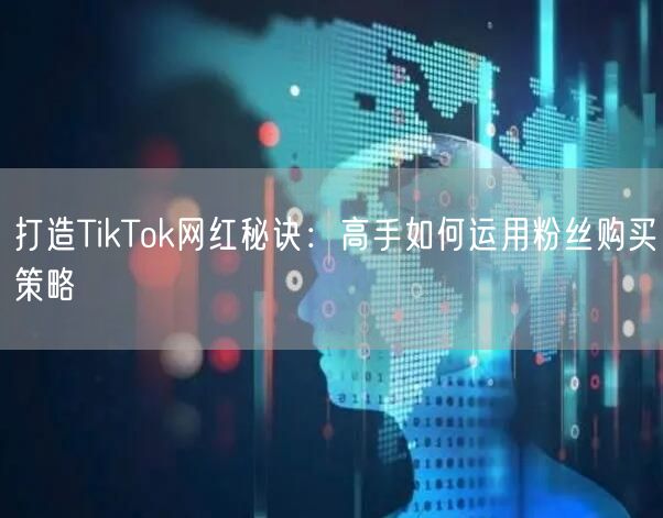 打造TikTok网红秘诀：高手如何运用粉丝购买策略
