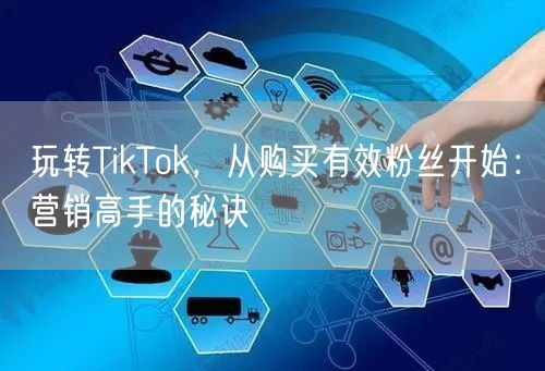 玩转TikTok，从购买有效粉丝开始：营销高手的秘诀