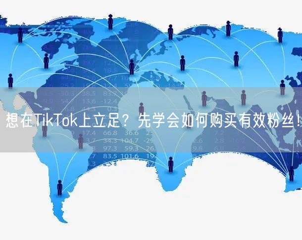 想在TikTok上立足？先学会如何购买有效粉丝！