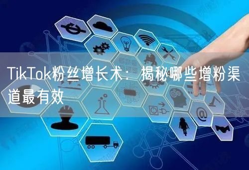 TikTok粉丝增长术：揭秘哪些增粉渠道最有效