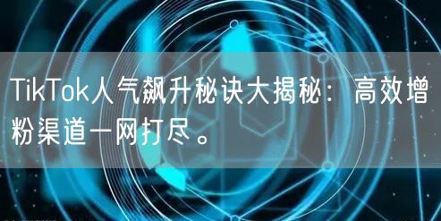 TikTok人气飙升秘诀大揭秘：高效增粉渠道一网打尽。